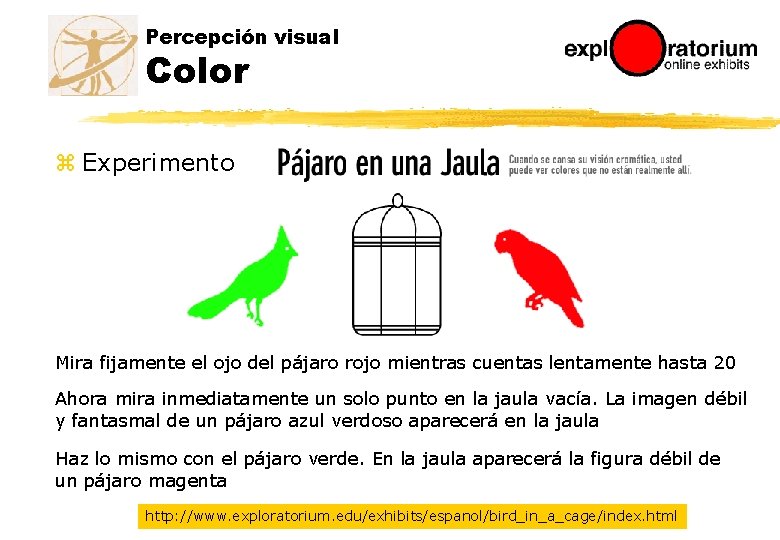 Percepción visual Color z Experimento 0 1 2 3 4 5 6 7 8