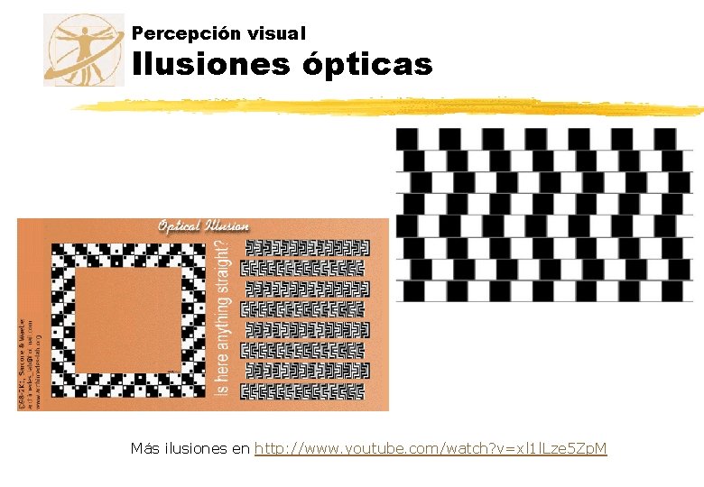 Percepción visual Ilusiones ópticas Más ilusiones en http: //www. youtube. com/watch? v=xl 1 l.