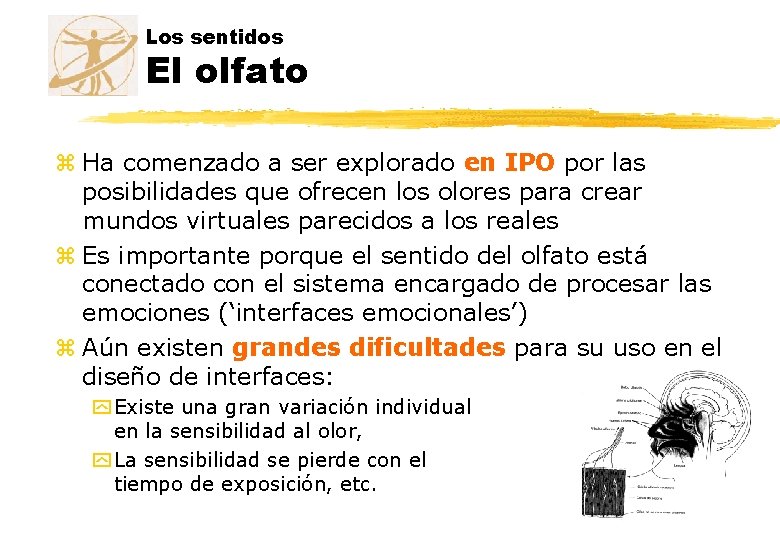 Los sentidos El olfato z Ha comenzado a ser explorado en IPO por las