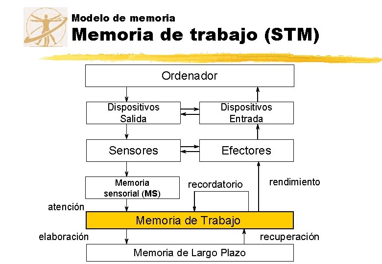 Modelo de memoria Memoria de trabajo (STM) Ordenador Dispositivos Salida Dispositivos Entrada Sensores Efectores