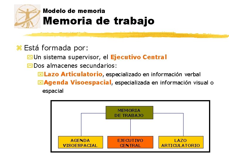 Modelo de memoria Memoria de trabajo z Está formada por: y Un sistema supervisor,