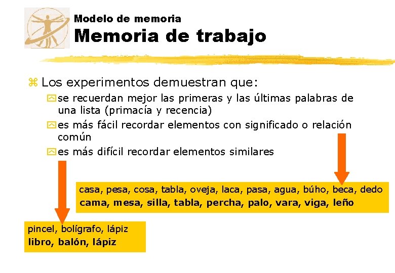 Modelo de memoria Memoria de trabajo z Los experimentos demuestran que: y se recuerdan