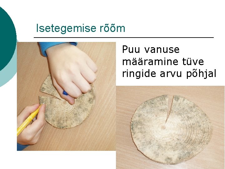 Isetegemise rõõm Puu vanuse määramine tüve ringide arvu põhjal 