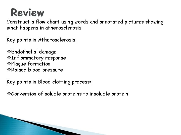 Review Construct a flow chart using words and annotated pictures showing what happens in
