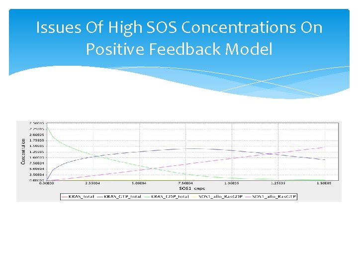 Issues Of High SOS Concentrations On Positive Feedback Model Issues Of High SOS Concentrations On Positive Feedback Model