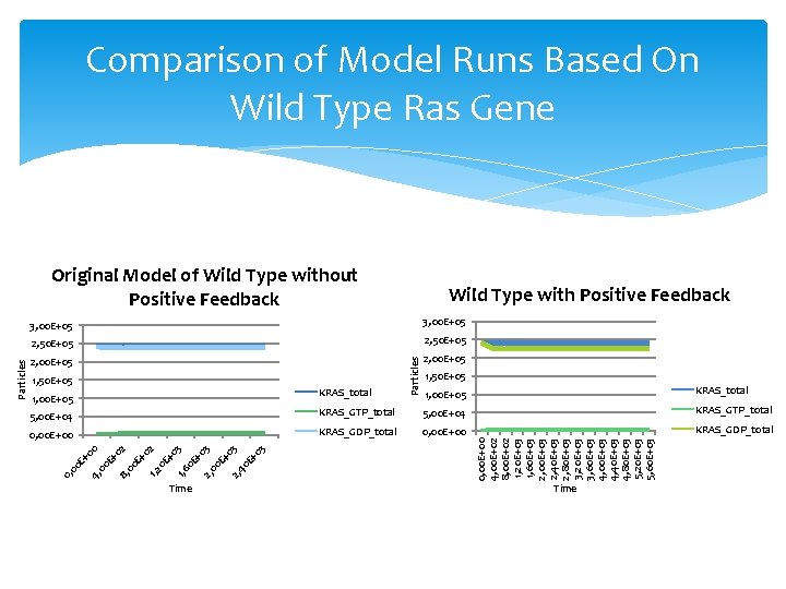 Comparison of Model Runs Based On Wild Type Ras Gene Wild Type with Positive Comparison of Model Runs Based On Wild Type Ras Gene Wild Type with Positive