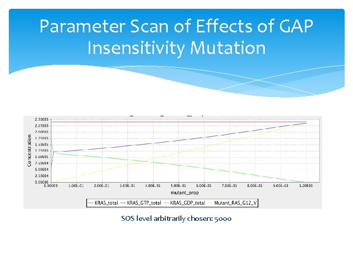 Parameter Scan of Effects of GAP Insensitivity Mutation SOS level arbitrarily chosen: 5000 Parameter Scan of Effects of GAP Insensitivity Mutation SOS level arbitrarily chosen: 5000