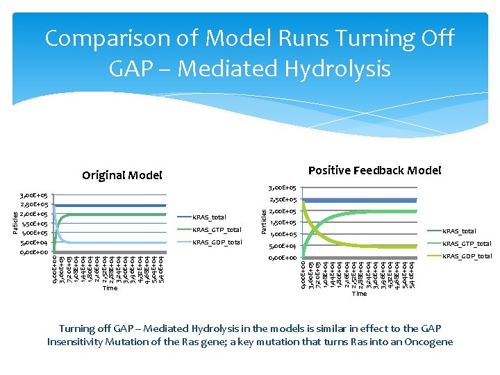 Comparison of Model Runs Turning Off GAP – Mediated Hydrolysis Positive Feedback Model 3, Comparison of Model Runs Turning Off GAP – Mediated Hydrolysis Positive Feedback Model 3,
