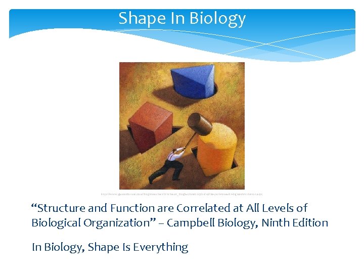 Shape In Biology https: //www. gameinformer. com/blogs/members/b/subsaint_blog/archive/2013/06/14/the-push-towards-digital-distribution. aspx “Structure and Function are Correlated at Shape In Biology https: //www. gameinformer. com/blogs/members/b/subsaint_blog/archive/2013/06/14/the-push-towards-digital-distribution. aspx “Structure and Function are Correlated at