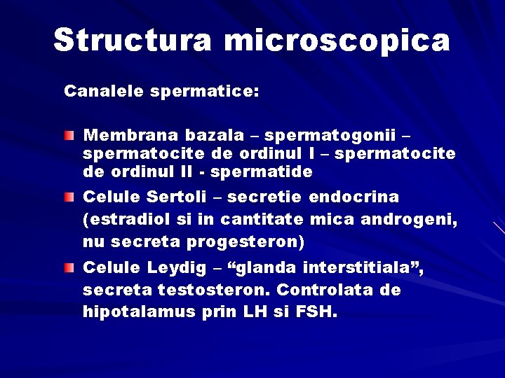 Structura microscopica Canalele spermatice: Membrana bazala – spermatogonii – spermatocite de ordinul II -