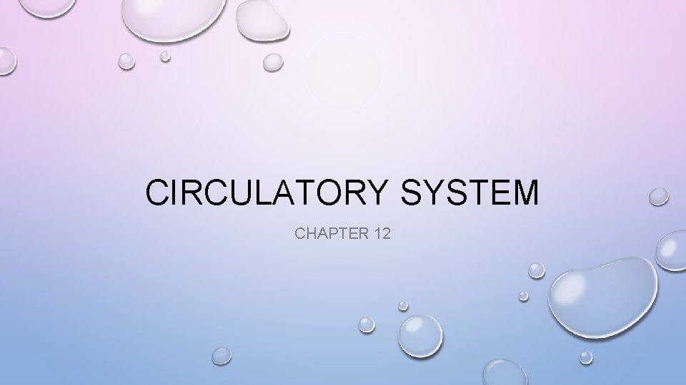 CIRCULATORY SYSTEM CHAPTER 12 