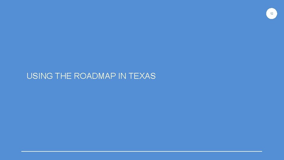 12 USING THE ROADMAP IN TEXAS 