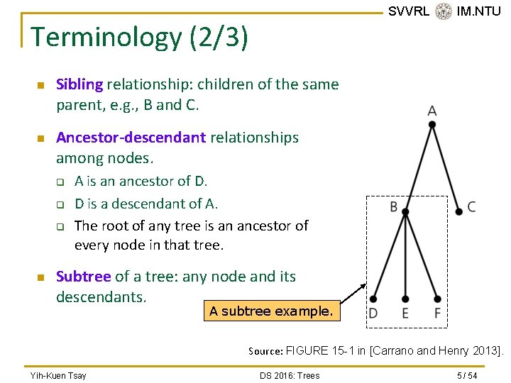 SVVRL @ IM. NTU Terminology (2/3) n n Sibling relationship: children of the same