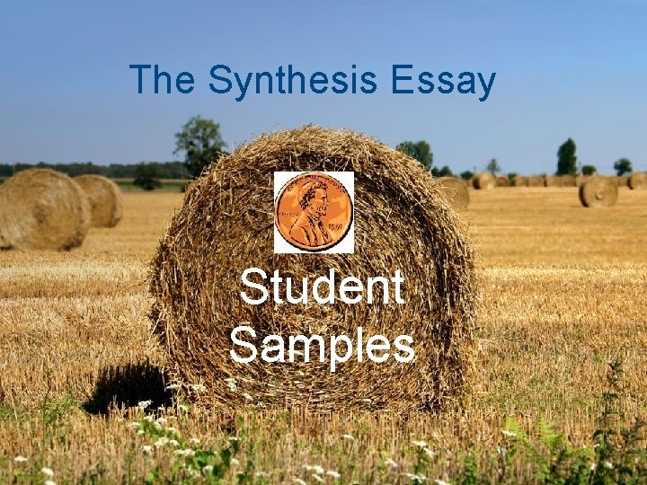 The Synthesis Essay Student Samples 