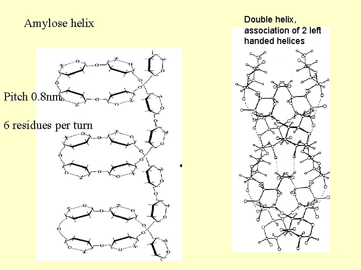 Amylose helix Pitch 0. 8 nm 6 residues per turn Double helix, association of Amylose helix Pitch 0. 8 nm 6 residues per turn Double helix, association of