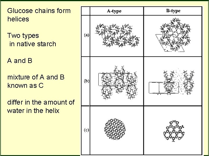 Glucose chains form helices Two types in native starch A and B mixture of Glucose chains form helices Two types in native starch A and B mixture of
