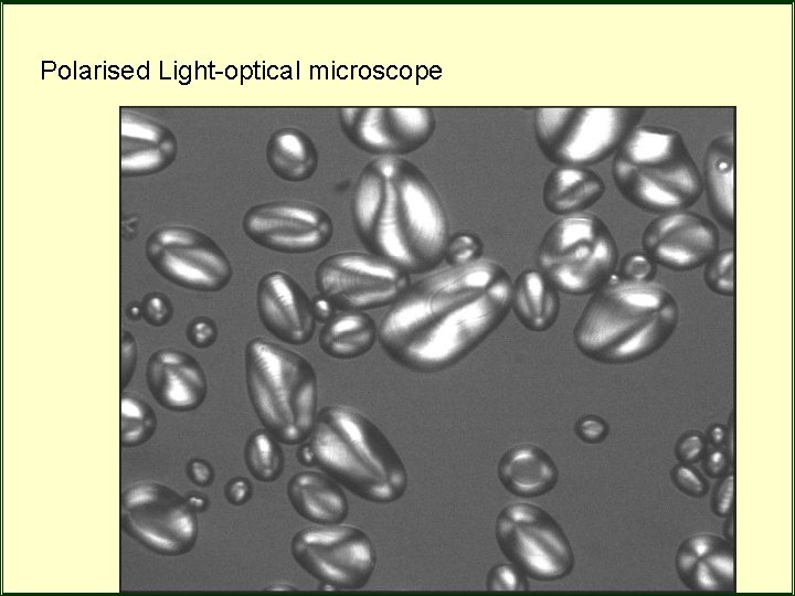 Polarised Light-optical microscope Polarised Light-optical microscope