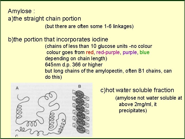 Amylose : a)the straight chain portion (but there are often some 1 -6 linkages) Amylose : a)the straight chain portion (but there are often some 1 -6 linkages)