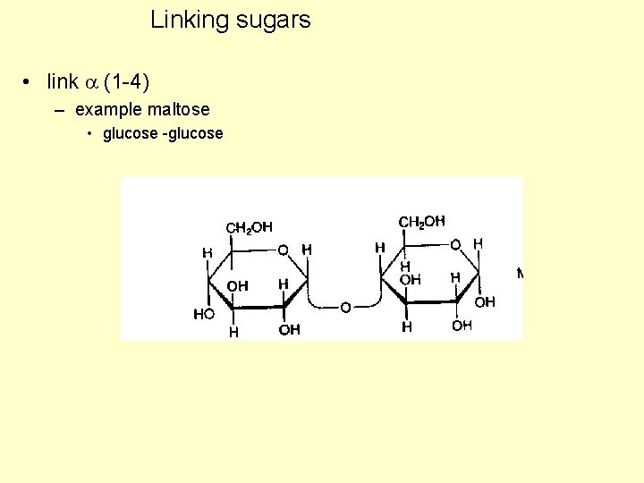 Linking sugars • link (1 -4) – example maltose • glucose -glucose Linking sugars • link (1 -4) – example maltose • glucose -glucose