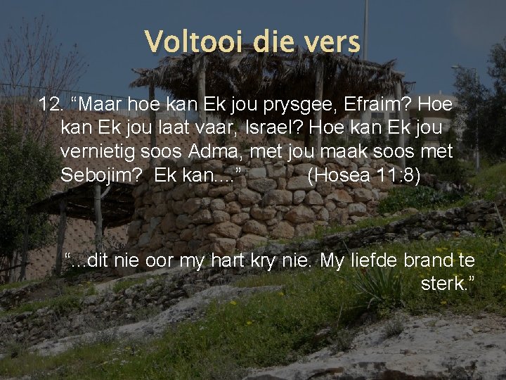 Voltooi die vers 12. “Maar hoe kan Ek jou prysgee, Efraim? Hoe kan Ek