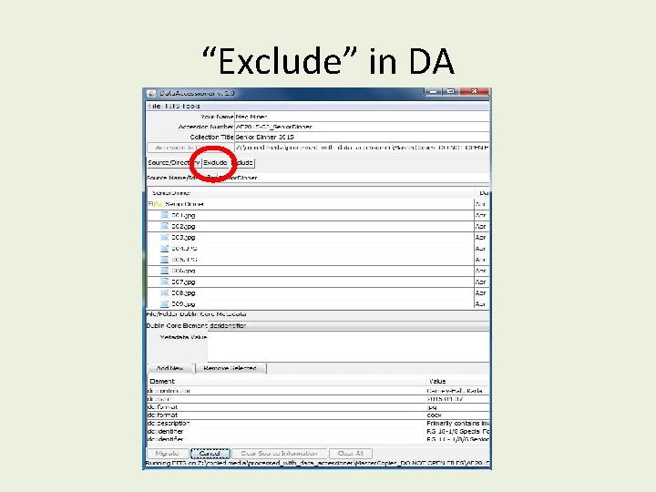 “Exclude” in DA 
