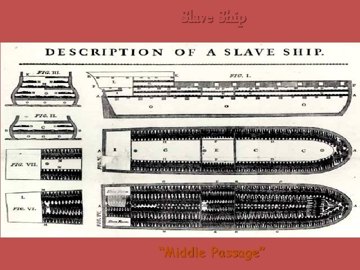 Slave Ship “Middle Passage” 