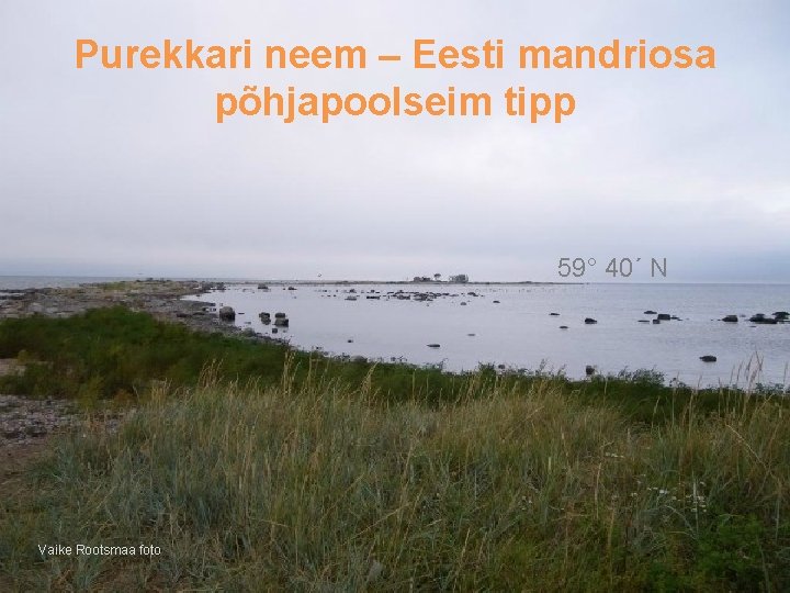 Purekkari neem – Eesti mandriosa põhjapoolseim tipp 59° 40´ N Vaike Rootsmaa foto Purekkari neem – Eesti mandriosa põhjapoolseim tipp 59° 40´ N Vaike Rootsmaa foto