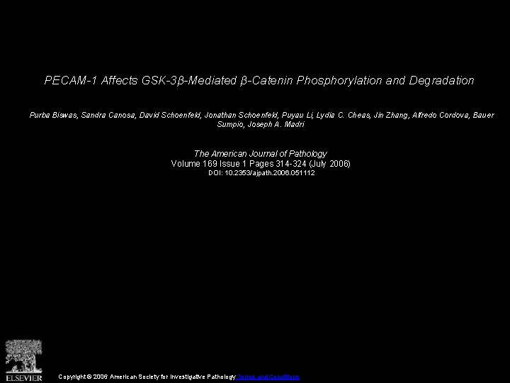 PECAM-1 Affects GSK-3β-Mediated β-Catenin Phosphorylation and Degradation Purba Biswas, Sandra Canosa, David Schoenfeld, Jonathan