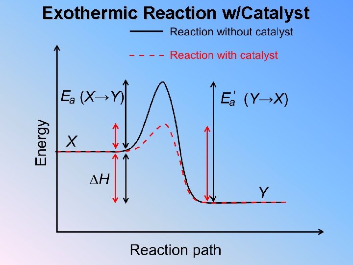 Exothermic Reaction w/Catalyst 