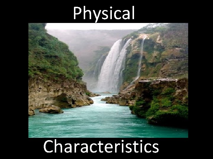 Physical Characteristics 