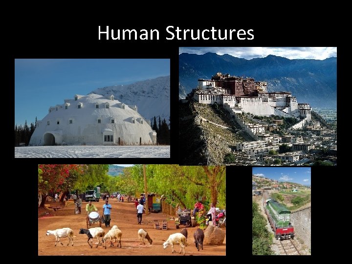 Human Structures 