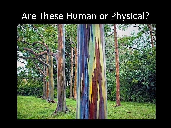 Are These Human or Physical? 