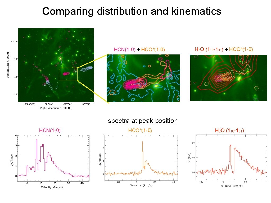 Comparing distribution and kinematics HCN(1 -0) + HCO+(1 -0) H 2 O (110 -101)