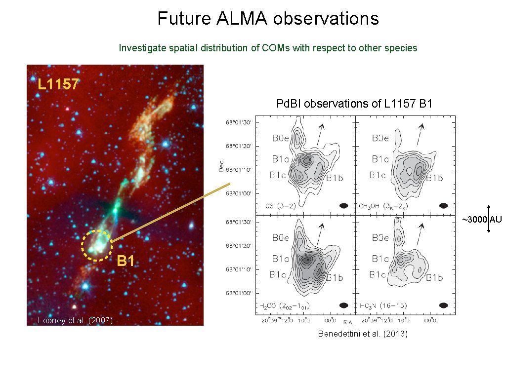 Future ALMA observations Investigate spatial distribution of COMs with respect to other species L