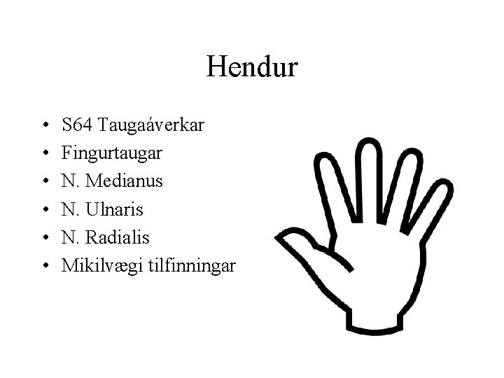 Hendur • • • S 64 Taugaáverkar Fingurtaugar N. Medianus N. Ulnaris N. Radialis