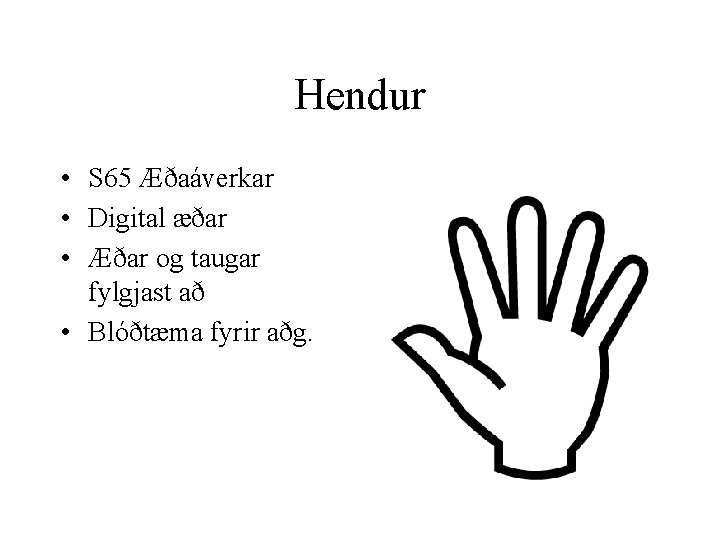 Hendur • S 65 Æðaáverkar • Digital æðar • Æðar og taugar fylgjast að