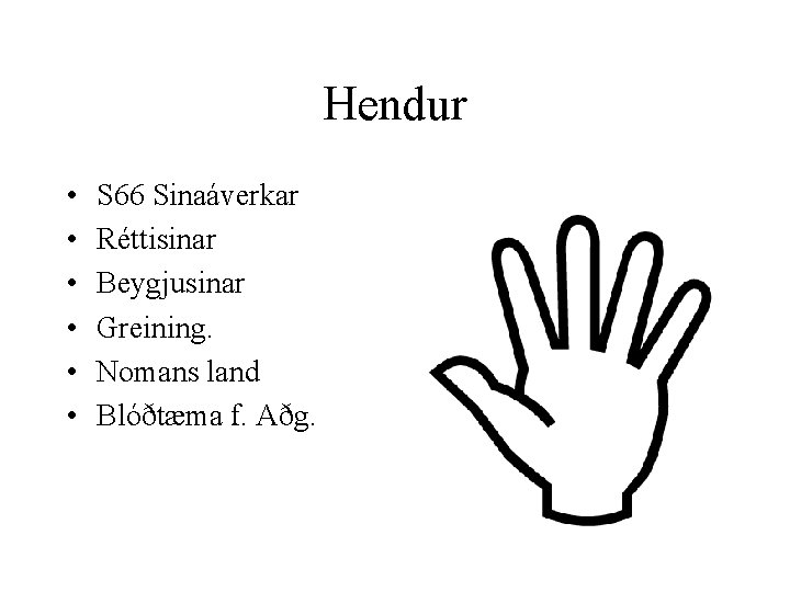 Hendur • • • S 66 Sinaáverkar Réttisinar Beygjusinar Greining. Nomans land Blóðtæma f.