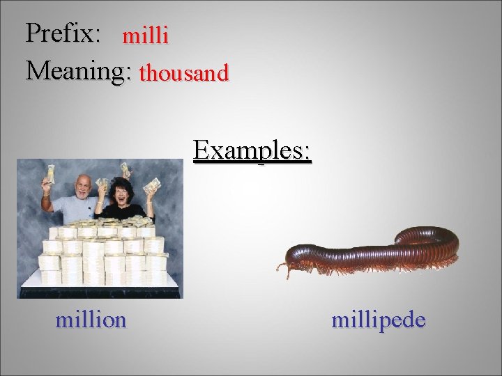 Prefix: milli Meaning: thousand Examples: million millipede 