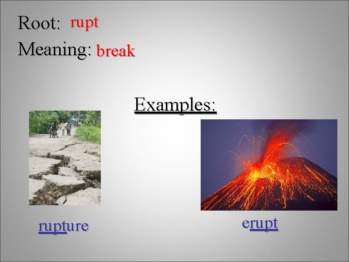 Root: rupt Meaning: break Examples: rupture erupt 