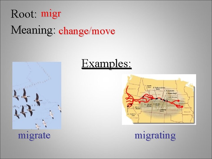 Root: migr Meaning: change/move Examples: migrate migrating 