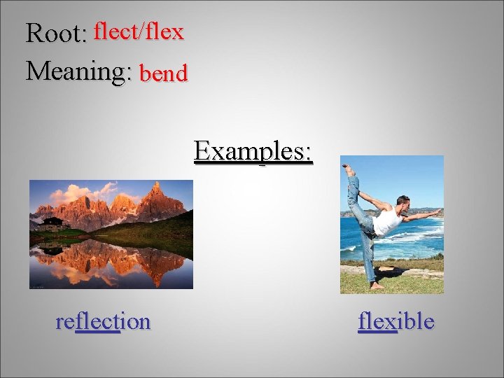 Root: flect/flex Meaning: bend Examples: reflection flexible 