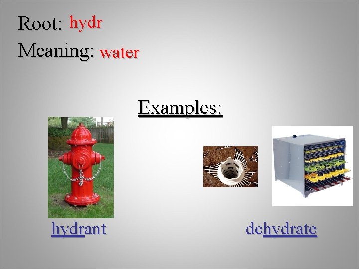 Root: hydr Meaning: water Examples: hydrant dehydrate 