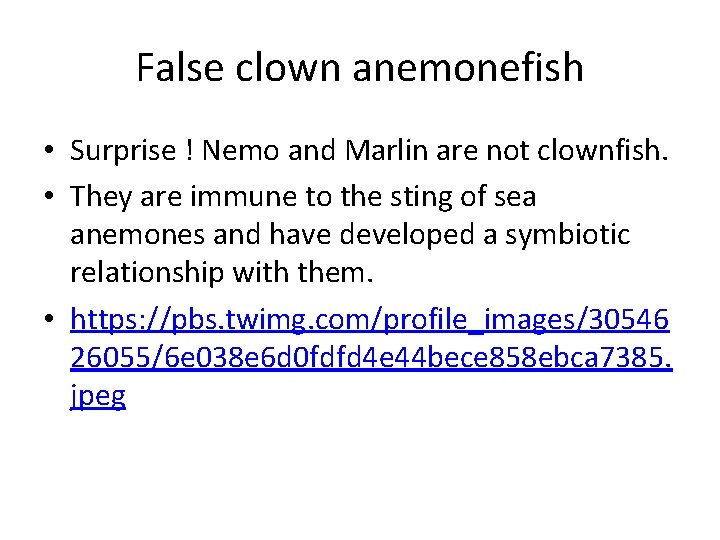 False clown anemonefish • Surprise ! Nemo and Marlin are not clownfish. • They