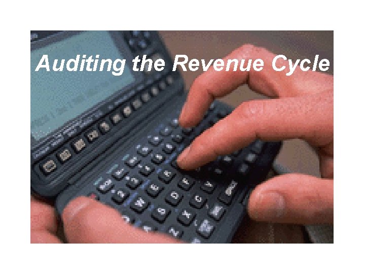 Auditing the Revenue Cycle 