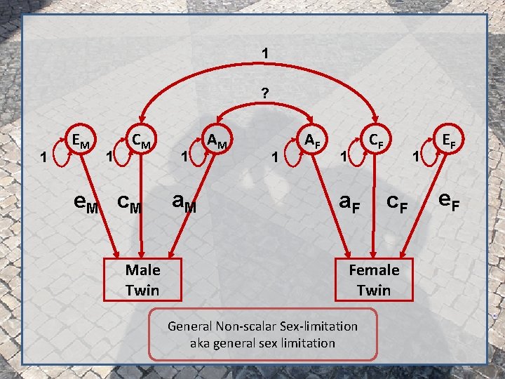 1 ? 1 EM 1 CM e. M c. M Male Twin 1 a.