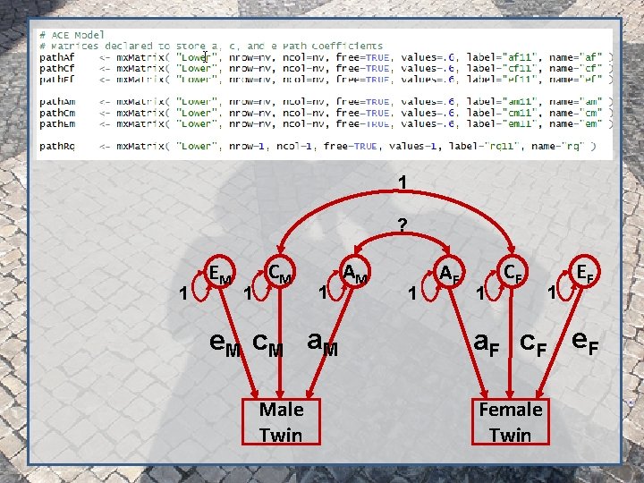 1 ? 1 EM 1 CM 1 e. M c. M a. M Male