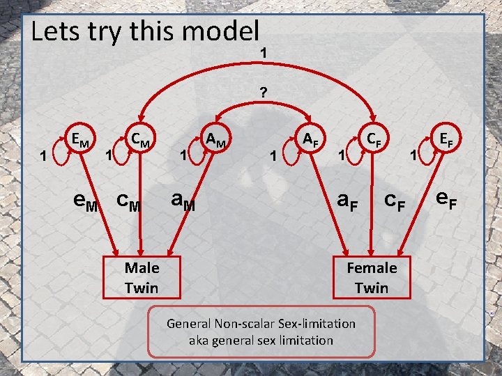 Lets try this model 1 ? 1 EM 1 CM e. M c. M