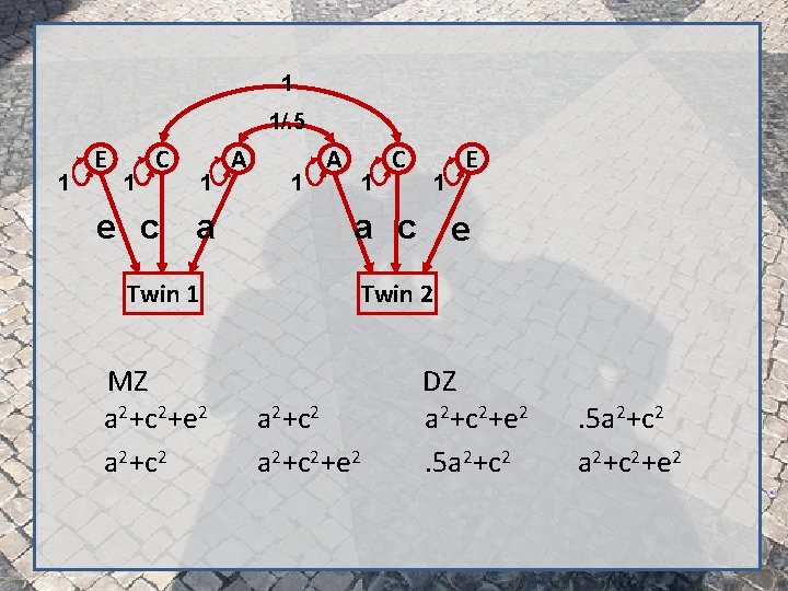 1 1/. 5 1 E 1 C e c 1 a Twin 1 MZ