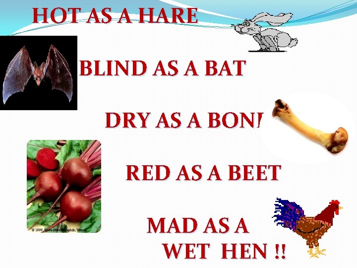 HOT AS A HARE BLIND AS A BAT DRY AS A BONE RED AS