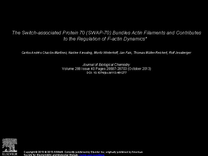 The Switch-associated Protein 70 (SWAP-70) Bundles Actin Filaments and Contributes to the Regulation of